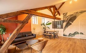 Loft Atelier Hyper Centre Albi